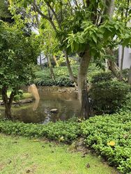 Nassim Park Residences (D10), Condominium #475393211